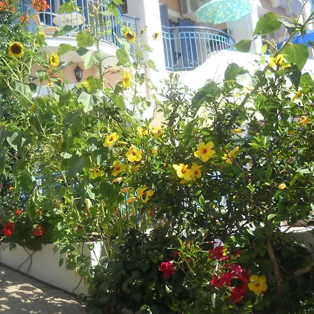 Olive Bay